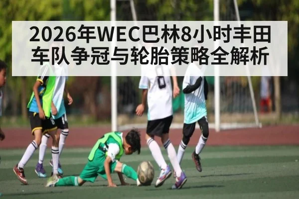 2026年WEC巴林8小时丰田车队争冠与轮胎策略全解析